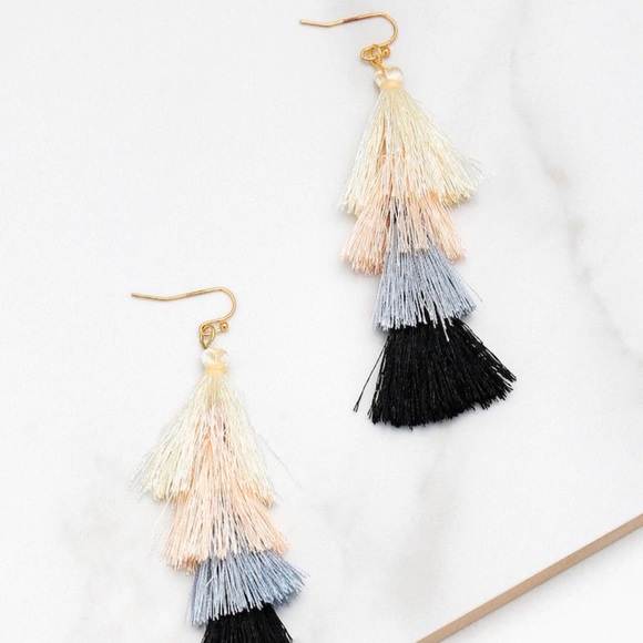 Color Block Tassel Drop Earrings - Picture 2 of 2